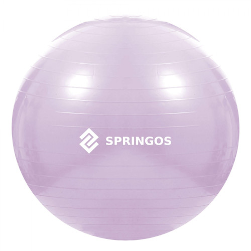 Купити Фітбол  Springos 65 cm Anti-Burst FB0011 Violet у Києві - фото №1